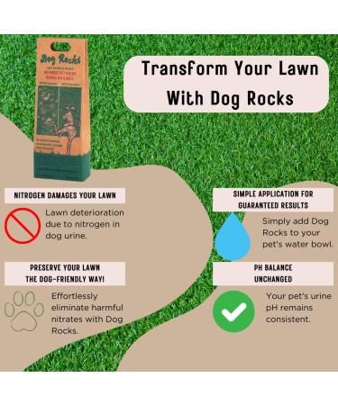 Dog Rocks - Urine Patch Preventer (200g) / Natural Dog Urine Neutraliser for Water Bowls Grass Repair Urine Burn Patch Repair 200 g (Pack of 1) - Buy Online on SooperMarket.com