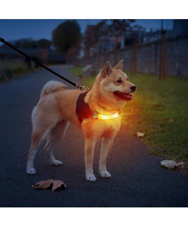 Laroo Safety LED Light Band for Dogs & Cats | Waterproof Easy to Attach Bright Flashing LED for Outdoor Safety | International Shipping - Buy Online on SooperMarket.com