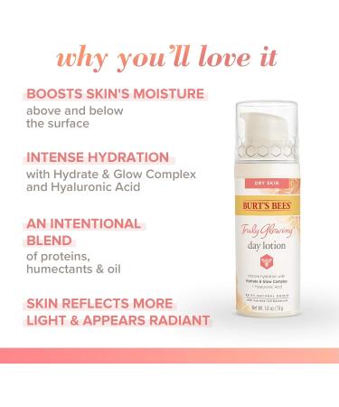 Burt's Bees Truly Glowing Hydrating Daily Face Lotion Face Cream Moisturizer for Dry Skin with Hyaluronic Acid 98.9% Natural Origin Developed with Dermatologists 51g Day Lotion for Dry Skin - Buy Online on SooperMarket.com