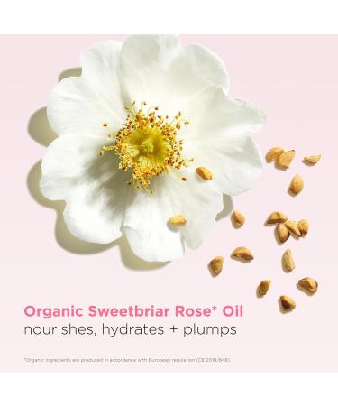 Clarins NEW Lip Oil Balm - Nourishing Hydration Plumping Shine | 99% Skincare Formula | 96% Natural Ingredients | 0.1 Ounce 01 - Pale Pink - Buy Online on SooperMarket.com