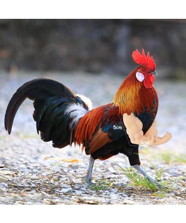 FUAMEY Muscle Chicken Arms Toys for Chickens to Wear  Funny Costume Fist Fighting Arms Toy for Pet Prank Themed Party  Artificial Arms Decorations Costume Cosplay for Chickens Rooster Hens Upgraded version - Buy Online on SooperMarket.com
