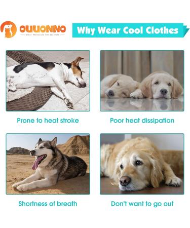 Dog Cooling Vest - Breathable Mesh Ice Jacket for Small, Medium, and Large Dogs - Adjustable Straps - Medium Blue - Buy Online on SooperMarket.com