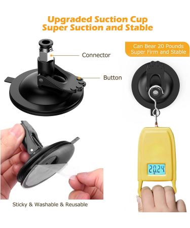 HOSFROLL Cat Toy Wand with Super Suction Cup & 12 Feather Replacements - Interactive Spring Feather Toys for Indoor Cats and Kittens - Buy Online on SooperMarket.com