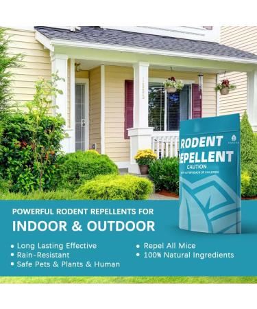 SUAVEC Rodent Repellent 8 Pack - Peppermint Oil Mouse and Rat Deterrent for House, RV, and Outdoor Use - Buy Online on SooperMarket.com
