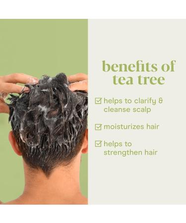 Baebody Tea Tree Oil Shampoo - Invigorating Tea Tree Shampoo for Healthy Scalp and Hair - Buy Online on SooperMarket.com