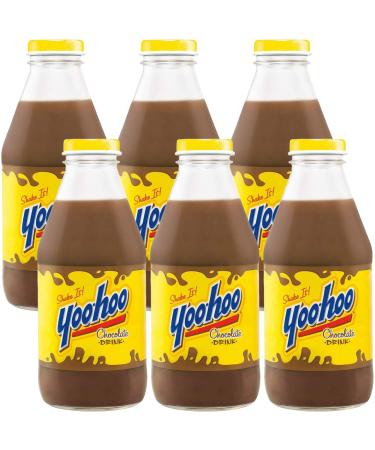 Yoohoo Chocolate Drink, Shake It, 15.5oz Glass Bottle (Pack of 6, Total of 93 Fl Oz)