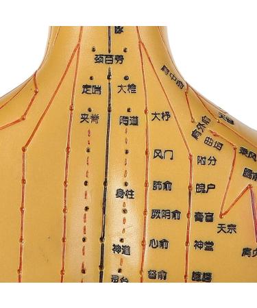 Human Female Acupuncture Anatomical Model with Acupuncture Points Bronze Color 50Cm - Buy Online on SooperMarket.com