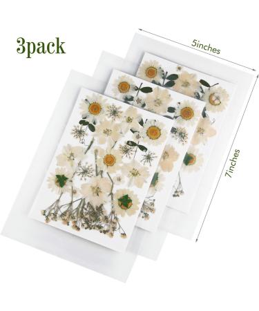 Nuanchu 81 Pcs White Dried Pressed Flowers & Leaves for Resin Jewelry, Scrapbooking & Art - Larkspur, Gypsophila - Floral Decorations - White - Buy Online on SooperMarket.com