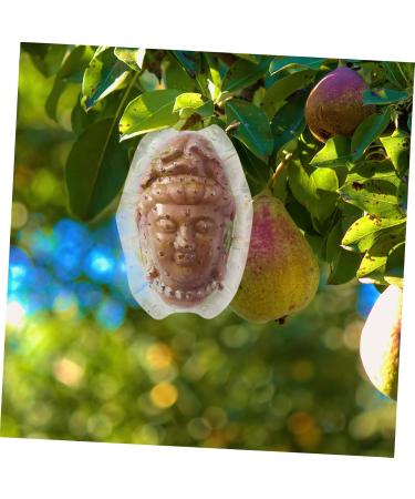 IWOWHERO Fruits Forming Mould Vegetable Growing Mold Ginseng Fruit Melon Shaping Mold Novel Shaping Mold Multipurpose Gourd Head - Buy Online on SooperMarket.com