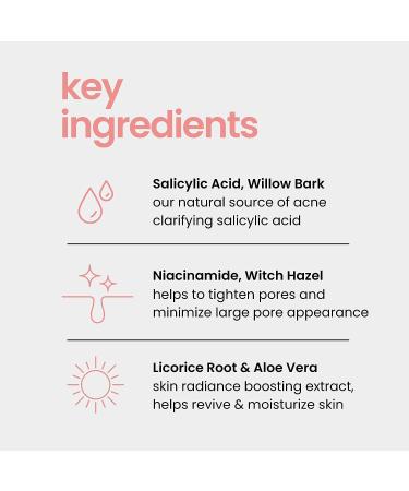 Natural Outcome Niacinamide Toner for Face - Radiance Boosting with Salicylic Acid & Aloe Vera - 8 oz - Buy Online on SooperMarket.com