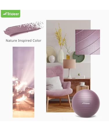 Trideer Nature Themed Exercise Ball for Workout, Stability, Balance, Physical Therapy & Pregnancy - Rosy Morning Glow | 23-26 inches - Buy Online on SooperMarket.com