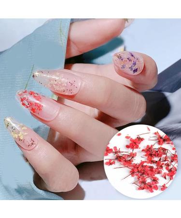 8 Boxes Dried Flowers for Nails | Nail Art Sticker Kit | DIY Nail Decoration Accessories - 8 Colors - Buy Online on SooperMarket.com
