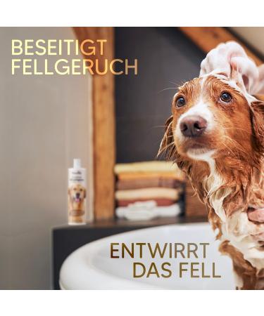 Pawlies Long-Haired Dog Shampoo with Organic Argan Oil & Biotin - Best Fur Care for Smell & Combability | Conditioner for Dogs - Buy Online on SooperMarket.com