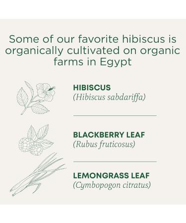 Traditional Medicinals - Organic Hibiscus Herbal Tea (Pack of 6) - Fair Trade Ingredients - Tart Tangy and Fruity - 96 Tea Bags Total Tea Hibiscus 16 count (Pack of 6) - Buy Online on SooperMarket.com