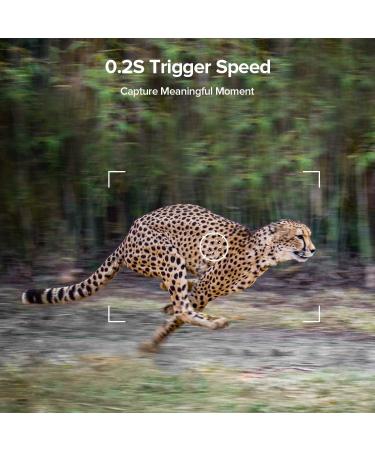 1520P 20MP Trail Camera with 120 Wide-Angle Motion Sensor, 0.2s Trigger Time, 940nm No Glow, IP66 Waterproof - Wildlife Game Camera for Monitoring - Green - Buy Online on SooperMarket.com