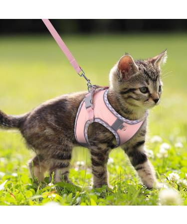 Brifit Cat Harness and Lead Set | Soft Mesh Adjustable Reflective Vest for Small Cats | Escape-Proof Kitten Harness with Leash | Pink XXS - Buy Online on SooperMarket.com