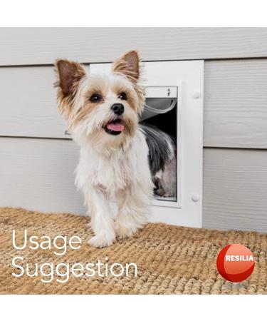 Plastic Vinyl Strip for DIY Dog or Cat Door - Doggie Door Replacement Strips | Pet Products 8' x 8 - Buy Online on SooperMarket.com