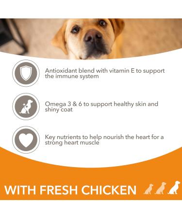 IAMS Complete Dry Dog Food for Adult 1+ Large Breeds with Chicken 12 kg 12 kg (Pack of 1) - Buy Online on SooperMarket.com