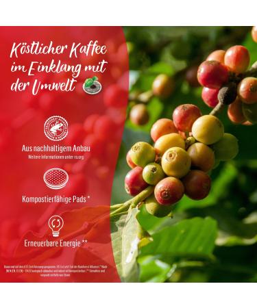 Buy Senseo Classic Coffee Pads - RA-Certified - 10 Packs of 16 Pods | International Shipping Available - Buy Online on SooperMarket.com