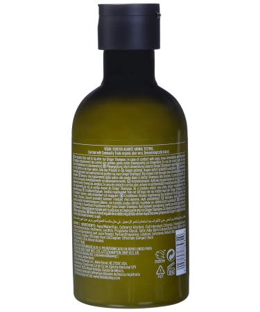 The Body Shop Ginger Scalp Care Conditioner (Vegan) - Green | 8.4 Fl Oz - Buy Online on SooperMarket.com