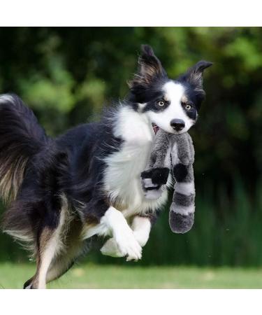 Stuffingless Dog Toy Squirrel Raccoon Squeaky Plush Dog Toy Stuffingless Dog Chew Toy for Small Medium Dogs - 2 Pack 45cm 2 Packs 45cm - Buy Online on SooperMarket.com