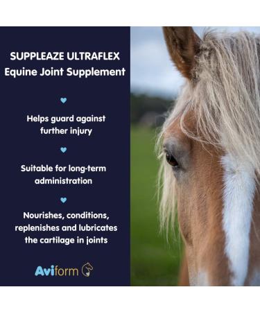 Aviform Suppleaze Ultraflex (1Kg) 1.00 kg (Pack of 1) - Buy Online on SooperMarket.com