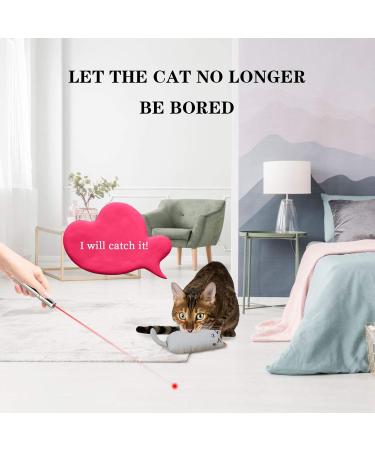 MOSNOW Cat Chase Toys 1 Pack 2 in 1 LED Pointer Cat Toys&1 Pack Cat Catnip Toys Funny Cat Toys Pet Interactive Toys for Pet Indoor Exercise Training Tool - Buy Online on SooperMarket.com
