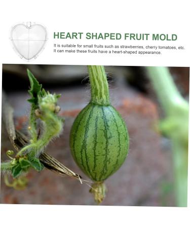 SUPVOX Fruit Forming Mold Heart Shaped Watermelon Molds Fruit Watermelon Forming Mold Vegetable Mould Modeling Forming Machine - Buy Online on SooperMarket.com