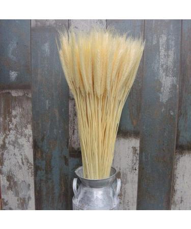 25pcs Colorful Natural Dried Flowers Bouquet Wheat Plants Bunches New Year Craft Wedding Chrismas Decor Decoration Beige 25pcs - Buy Online on SooperMarket.com
