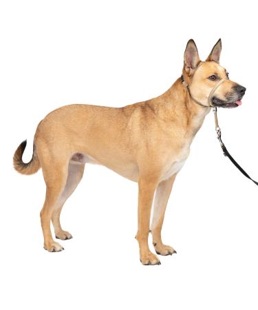 PetSafe Gentle Guide Collar with Training DVD Beige Medium (Pack of 1)