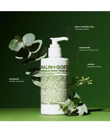 Eucalyptus Hand & Body Scrub | Natural Exfoliating Scrub for Glowing Skin - International Shipping Available - Buy Online on SooperMarket.com