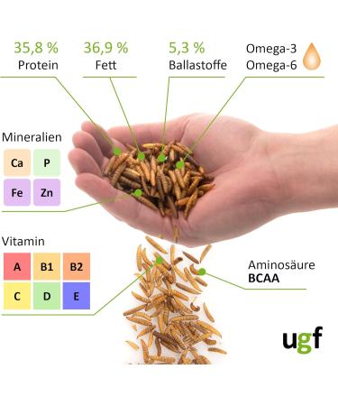 UGF Soldier Fly Larvae (500g) - Superior to Dried Mealworms - 85x Calcium - Ideal Treats for Birds Turtles Rodents & More - Buy Online on SooperMarket.com