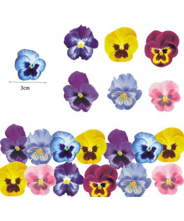 Shop Alegre 60 Edible Flowers for Cakes | Decorative Pansies for Birthdays Weddings & Muffins - Buy Online on SooperMarket.com