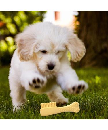 Skuda Kielzeugkamm: Interactive Dog Toy for Puppies - Tough Natural Chew Teeth Cleaning & Boredom Buster for Medium & Large Breeds (Yellow) - Buy Online on SooperMarket.com