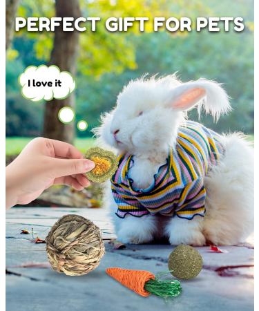 Pweituoet Rabbit Toys for Small Animals - 100% Natural Handmade Chew Treats for Bunny, Hamster, Guinea Pig, Chinchilla, Rat | Variety of 14 Types - Buy Online on SooperMarket.com
