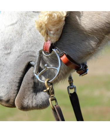 Premium Myler Curb Strap Hooks for Secure Bridle Attachment - Buy Online on SooperMarket.com