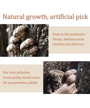 YanHouTang White Flower Shiitake Mushrooms 4 Oz - Premium Dried Mushrooms, Rich in Protein, All Natural & Nutritious, Soft Texture, Fresh Flavor - Buy Online on SooperMarket.com