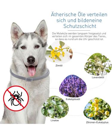 DEWEL Tick Collar for Dogs - Adjustable 63.5cm Waterproof Flea & Tick Protection - Buy Online on SooperMarket.com