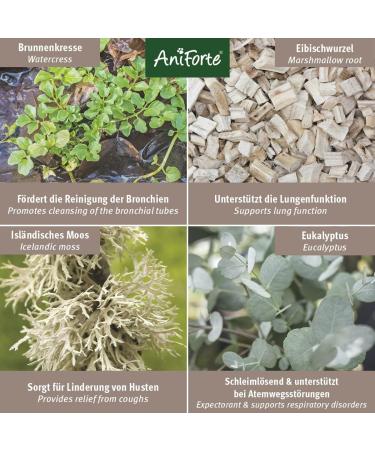 AniForte Bronchial Herbs for Horses 1kg - Natural Respiratory Support with Methylcysteine | Cough Relief & Healthy Airways - Buy Online on SooperMarket.com