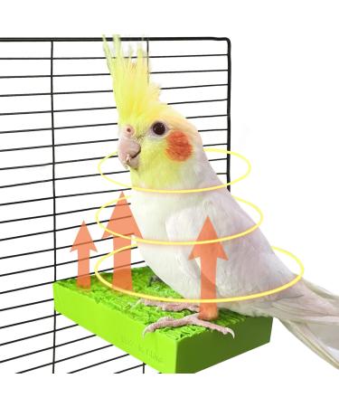 GIFANK Bird Heater for Cage Bird Perch Stand Warmer Snuggle Up for African Grey, Parakeets, Parrots, Small Birds 12V 3.3"x6" Bird Perch Stand Heater