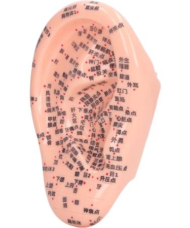 6.7 inch Silicone Ear Acupuncture Model - Ideal for Acupoint Learning & Home Care - Buy Online on SooperMarket.com