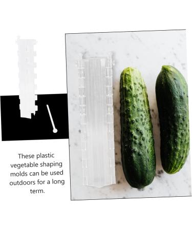 BCOATH 2pcs Melon and Fruit Shaping Mold Vegetables Pumpkin Shaping Mold Vegetable Growing Moulds Shaper - Buy Online on SooperMarket.com