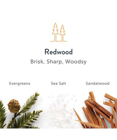 Harry's Extra-Strength Antiperspirant for Men - Redwood Scent - Pack of 3 - Buy Online on SooperMarket.com