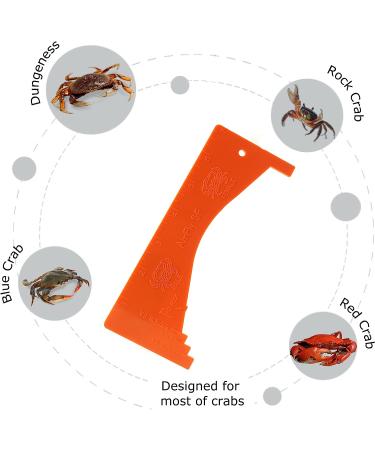 AirFly Crab Gauge - Accurately Measure Dungeness & Rock Crabs - Convex Design - Buy Online on SooperMarket.com
