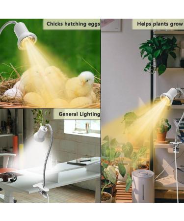 Shengruili Turtle Heat Lamp - 25W & 50W Reptile Terrarium Lights for Turtles & Reptiles - B-White - Buy Online on SooperMarket.com