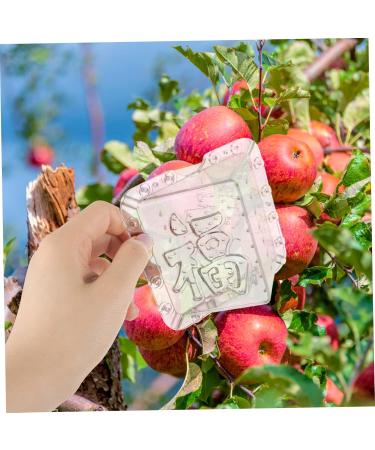 Kisangel 8 Pcs Square Apple Fruit and Vegetable Fruit Shaper Mould Cover - Buy Online on SooperMarket.com