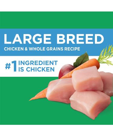 IAMS Proactive Health Dog Food and Dry Cat Food Bundle Dog Food + Cat Food 3.5 lb. 6.80 kg (Pack of 1) - Buy Online on SooperMarket.com