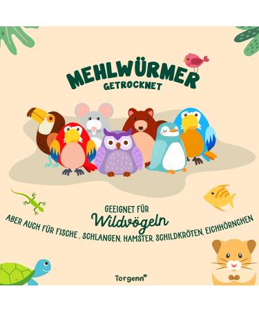 Torgenn Mealworms 2kg - Nutrient-Rich 100% Natural Wild Bird & Fish Food | GVO-Free Additive-Free - Buy Online on SooperMarket.com