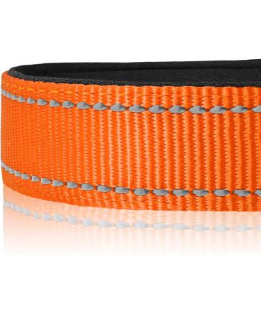 Joytale Reflective Dog Collar for Large Dogs - Orange (Pack of 1) | Durable & Stylish Pet Accessory - Buy Online on SooperMarket.com