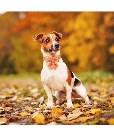 Autumn Dog Collar - Adjustable Yellow Cotton Hall Band with Sailor Flying Design for Small & Medium Dogs - Pack of 1 - Buy Online on SooperMarket.com